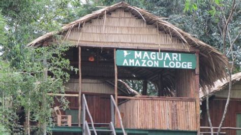 MAGUARI AMAZON LODGE (Brazil/AM) - Lodge Reviews & Photos - Tripadvisor