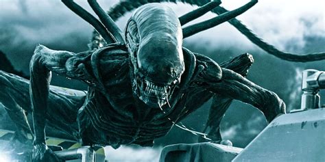 Image result for Alien Movie Series