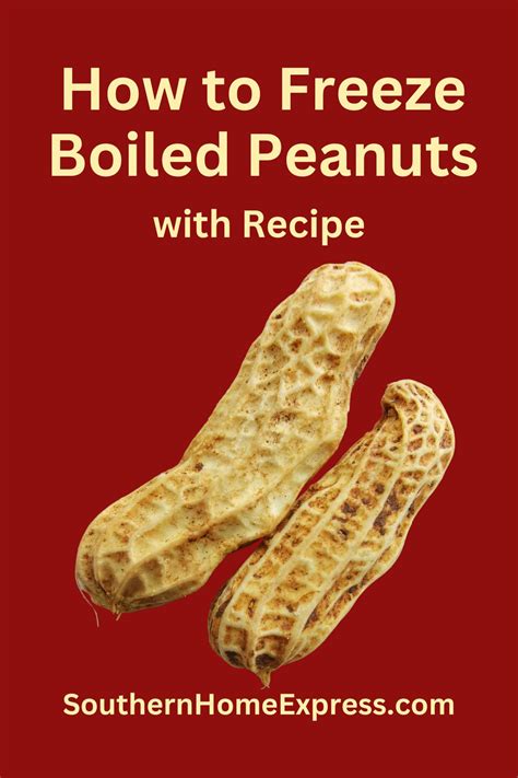 How to Freeze Boiled Peanuts (with Boiled Peanut Recipe) - Southern ...