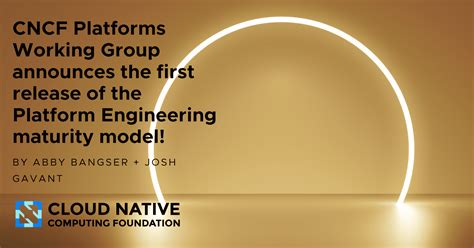 Image result for Platform Engineering Maturity Model