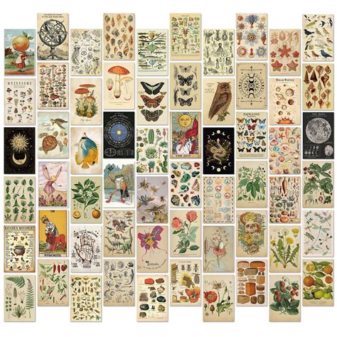Buy 60 PCS Wall Collage Kit - Encyclopedia Aesthetic Pictures ...