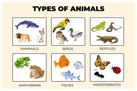 Premium Vector | Types of animals