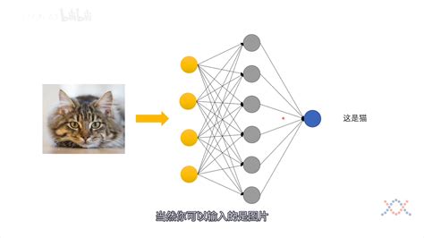 神经网络 的图像结果