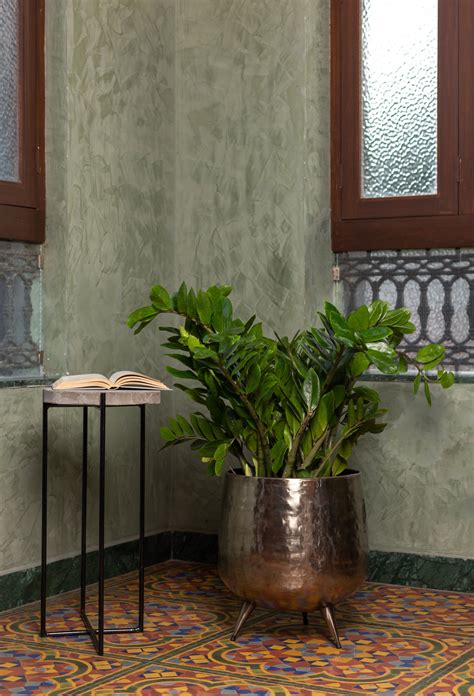 Choosing the Perfect Planter for Your Plants: A Comprehensive Online Guide