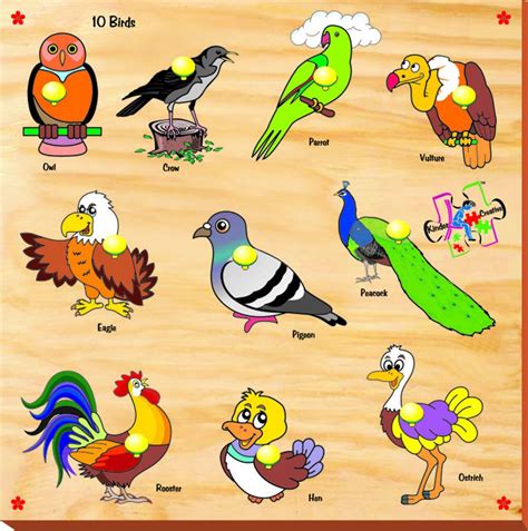 Buy Kinder Creative Birds with Knobs (Brown) Online at Low Prices in ...