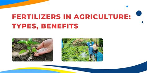 Types of Fertilizers: A Complete Guide for Farmers – Khethari