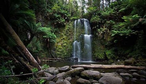 10 Places To Visit In Victoria For A Truly Remarkable Trip