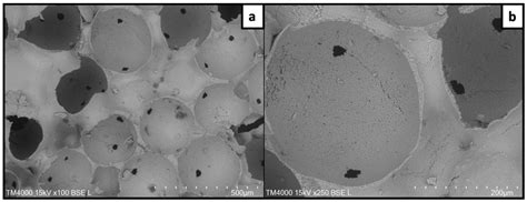 Design of Laser Activated Antimicrobial Porous Tricalcium Phosphate ...