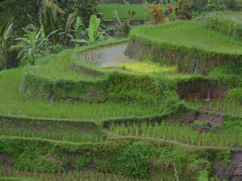 BALI VILLAGES (2025) All You Need to Know BEFORE You Go (with Photos ...
