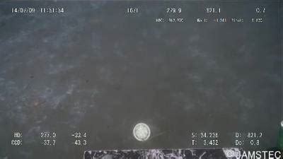 TrashCan 1.0 - Dataset Ninja