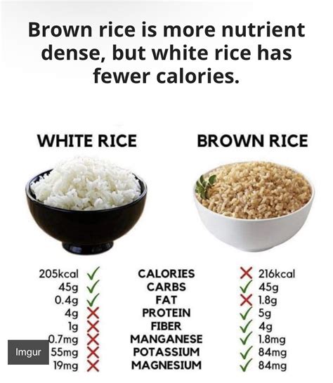 100g rice calories know your rice – Artofit