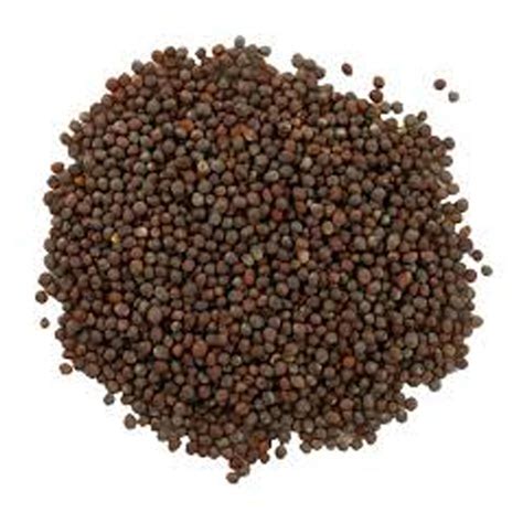 Brown Mustard Seeds - The Little Green Pantry