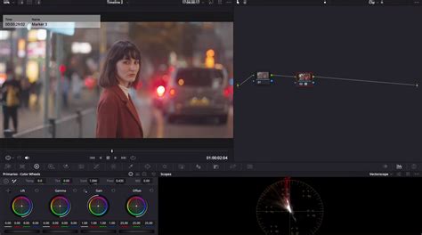 Image result for Davinci Color Grading