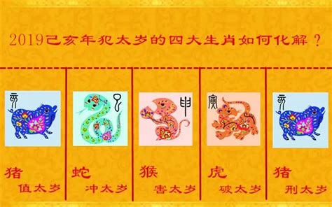 中国最权威2019十二生肖运势，要小心了属猪、属蛇、属虎、属猴的朋友！__凤凰网