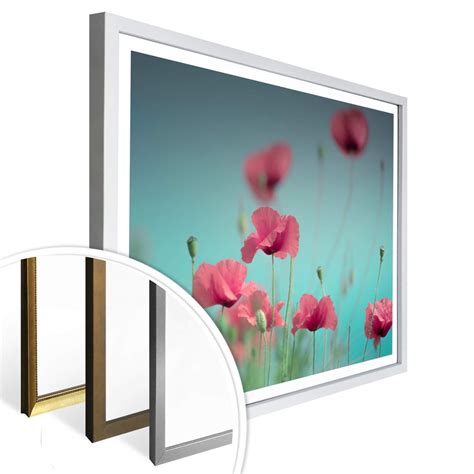 Poster Delgado - Poppy Pastel | wall-art.com
