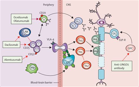 Emerging injectable therapies for multiple sclerosis - The Lancet Neurology