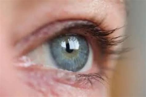 Latest stories news, Today's Top stories news Headline | Awaz the voice