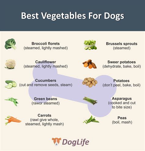Can Dogs Eat Vegetables