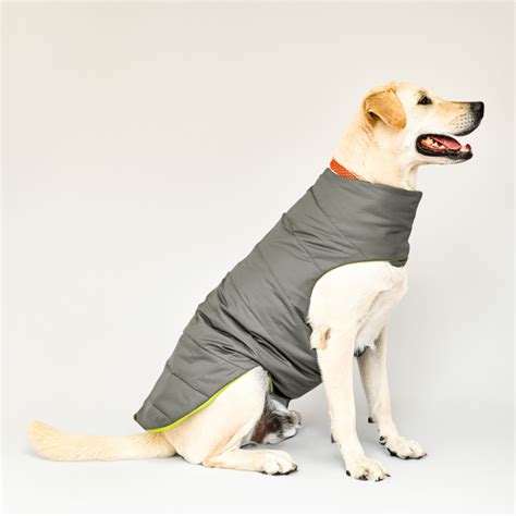 Buy SKATRS Grey Puffer Jacket for Pets Online in India | Supertails