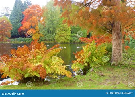 Sheffield park, UK stock photo. Image of great, park - 199819016