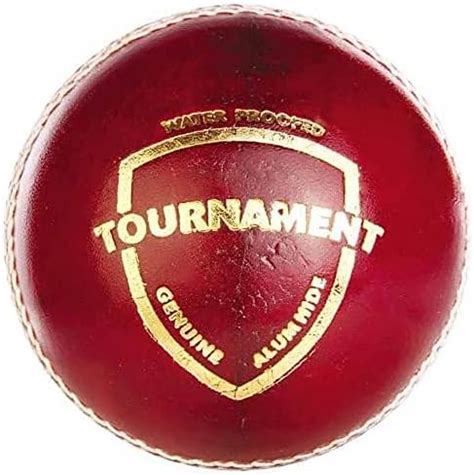 SG Tournament Cricket Leather Ball | Pack of 12 Balls | Color: Maroon ...