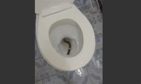 Image result for Modeling Paste Craft Ideas