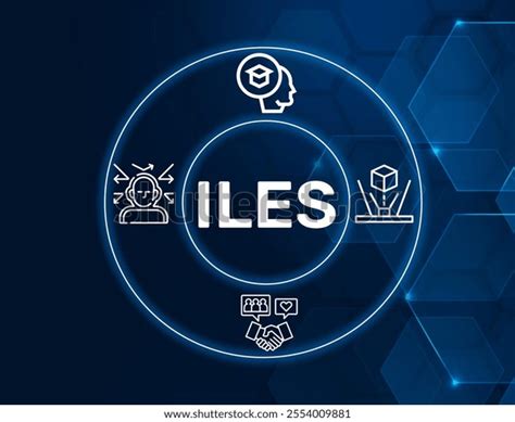 FS2020 Learning 的图像结果