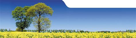 Energy Control Systems Inc 的图像结果