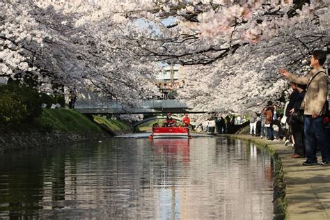 Matsukawa River Cruises (Toyama) - 2022 What to Know Before You Go ...