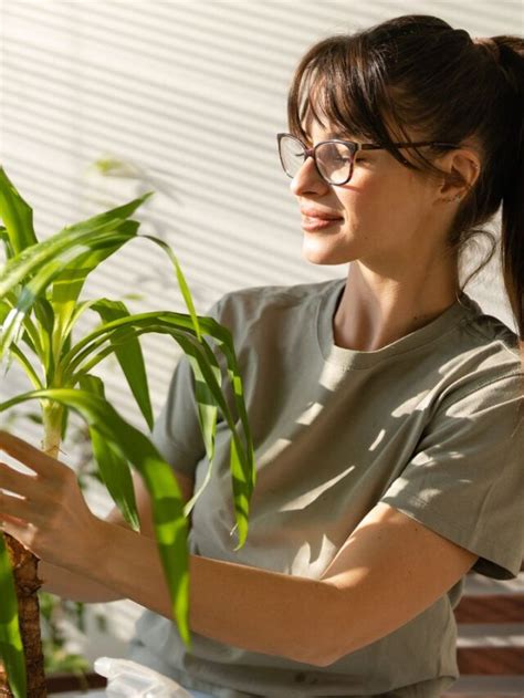 Image result for How to Reduce Humidity Inside Home