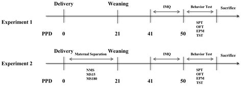 Brief Maternal Separation Promotes Resilience to Anxiety-like and ...