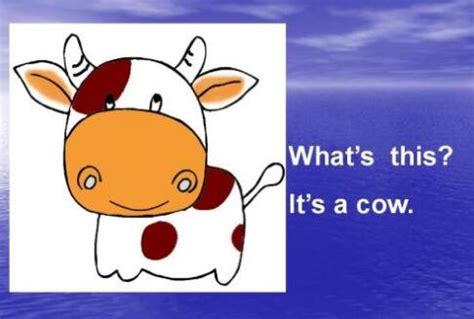 what s this是什么意思中文翻译_百度知道