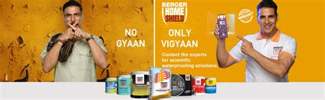 Berger Paints Home Shield Wall Shield 2K (White, 3 Kg) : Amazon.in ...