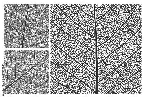 Image result for Tree Leaf Pattern