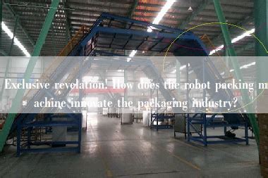 Robot Packing Machine 的图像结果