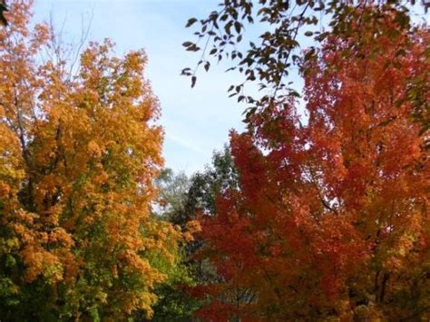 THE 10 BEST Places to Visit in Wauconda (2026)