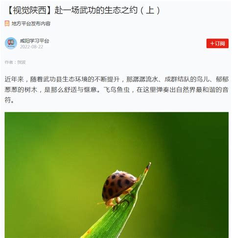 （咸阳） 2022-08-22 学习强国 陕西咸阳首张林业碳票竞拍成功-咸阳市林业局-关注森林网