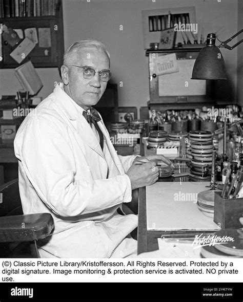 Sir Alexander Fleming 1945. 6 August 1881 - 11 March 1955, Scottish physician and microbiologist ...