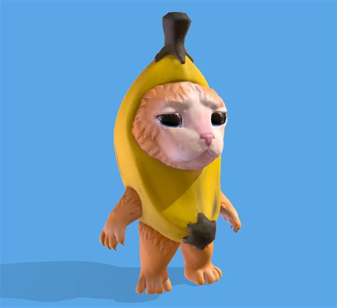 Image result for Cat Writing Python Code