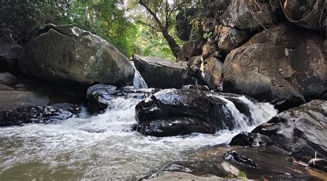 AMBER MIST (Somwarpet) - Farmhouse Reviews & Photos - Tripadvisor