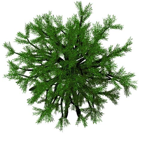 public - Revision 28209: /art_source/trunk/art/textures/skins/gaia