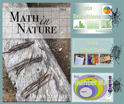 Image result for Data in Math