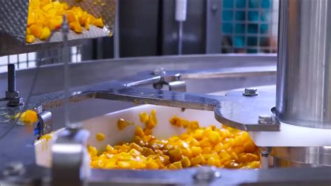 Process Fruit 的图像结果