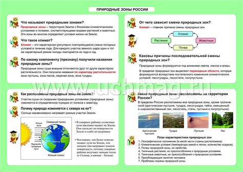 Карта природных зон россии 4 класс окружающий мир распечатать | Obrezka.com