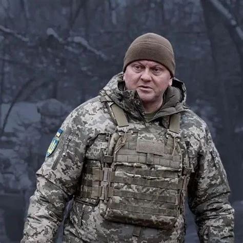 乌军总司令已“消失”半月，疑遭导弹袭击“危在旦夕”|乌克兰|乌军|导弹_新浪新闻