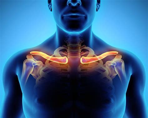 How to Manage a Broken Collarbone Injury - El Paso's Personal Injury ...