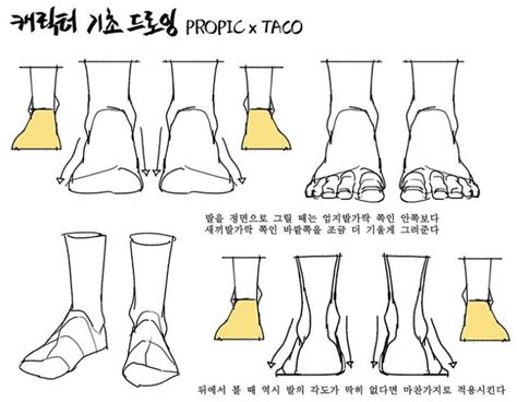Image result for Front View of Toe