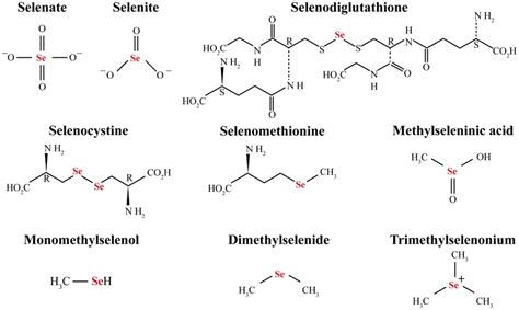 Image result for Selenium Bond Line Structure
