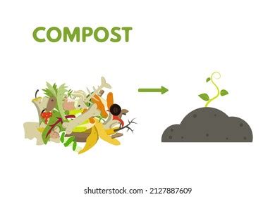 Image result for Decomposition Code Programing