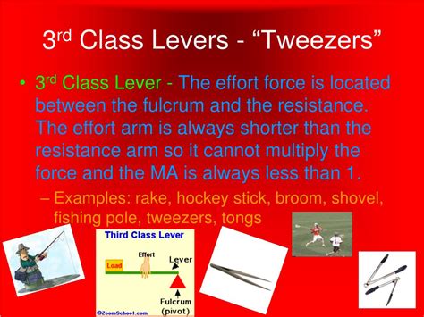 Third Class Lever 的图像结果